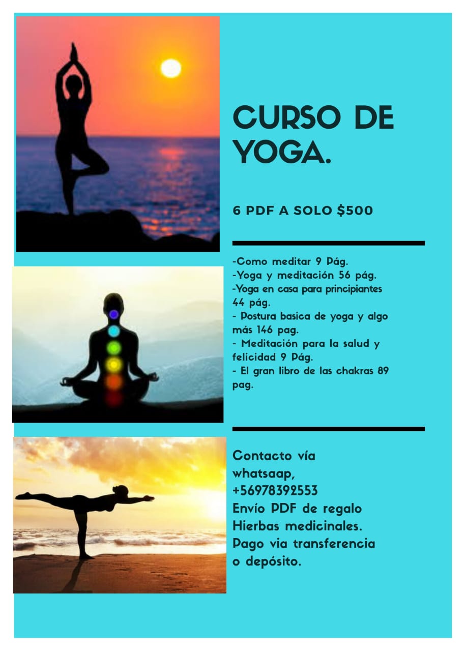 Cursos Online +56 9 7839 2553 - Imagen 2