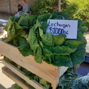 VERDURAS DONDE JULIO